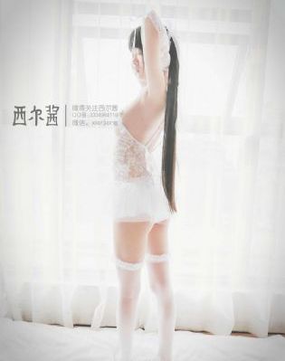 唐老鸭与米老鼠动画片全集_国产剧迅雷电影在线