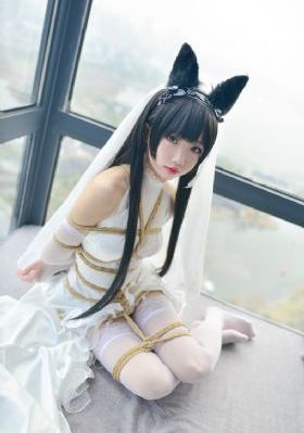 无节操摄影部播放_免费超清在线观看